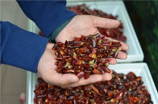 人物专访：重庆火锅匠人张平 “几十年如一日踏实做好每一口火锅！”