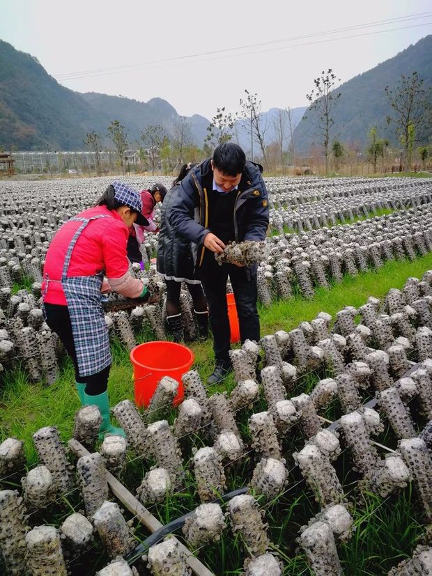 从抢险救灾到精准扶贫，40年，图说央企社会责任