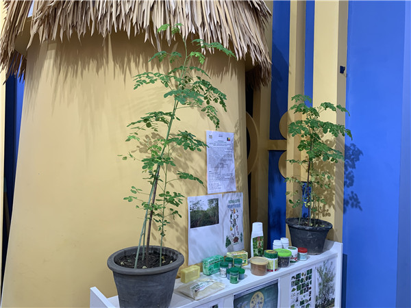Kasashen yammacin Afirka a EXPO 2019 na Beijing