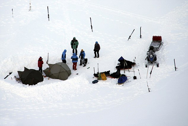 捷克游客挪威观赏日食遭惨北极熊袭击