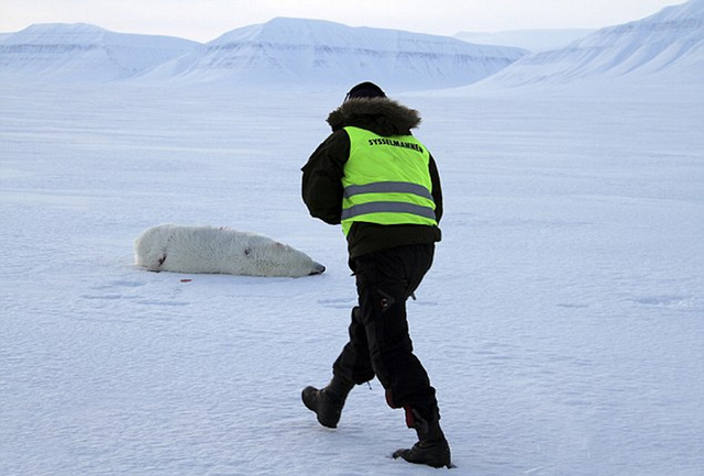 捷克游客挪威观赏日食遭惨北极熊袭击