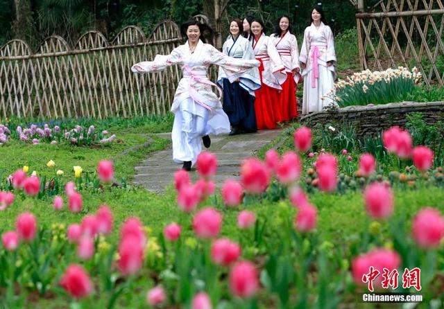 女大学生着古装扮靓武汉郁金香花展