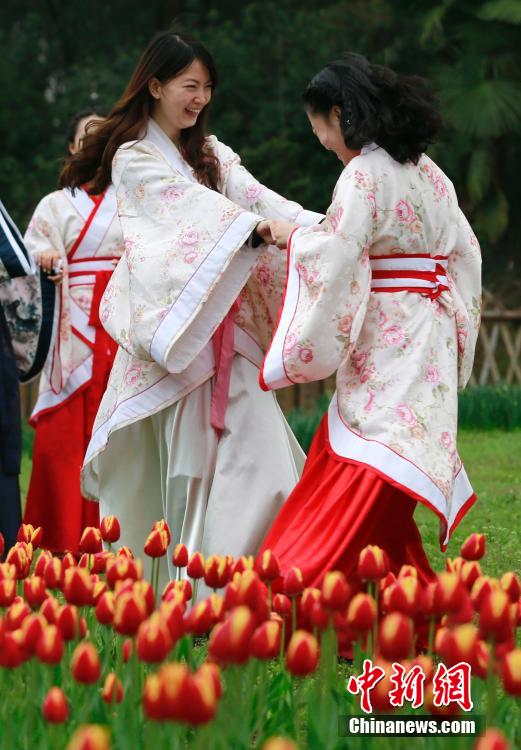 女大学生着古装扮靓武汉郁金香花展