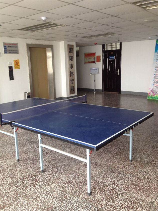 濮陽市體育局員工上班打乒乓球 市民辦事難覓蹤影