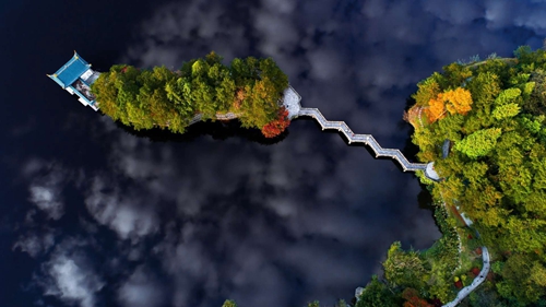 九江庐山：秋山如醉 如琴染碧枫叶红