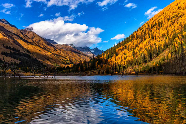 金秋四姑娘山不能错过的绝美圣地