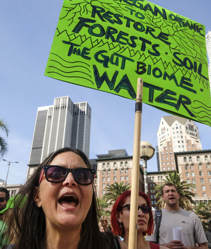 国际时评 | 阻碍减排进程，贻害全球生态环境——美国威胁全球安全“七宗罪”之四