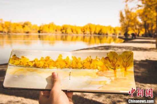 11月5日　木曜日