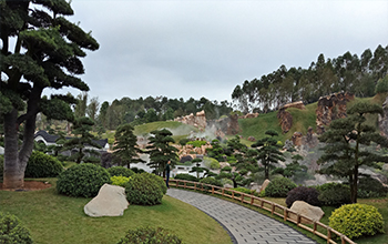 羅漢松園_fororder_【實景圖】羅漢松園