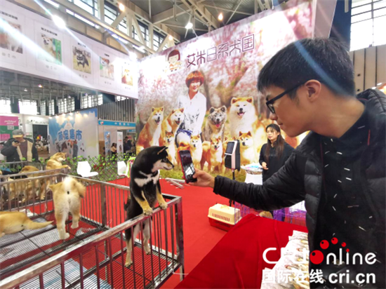 （供稿 社会广角列表 三吴大地南京 移动版）中国宠物文化节在南京国际博览中心举行
