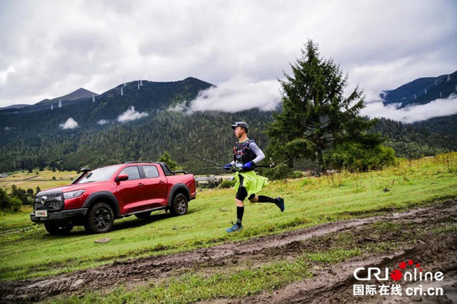 皮卡市场需要“第二辆”长城炮吗？