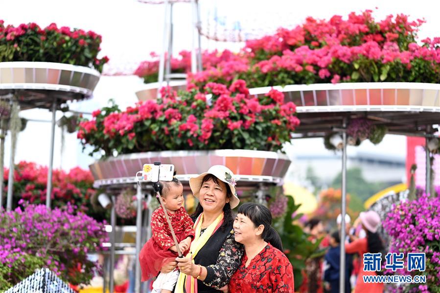 廣西柳州：深秋花卉展迎客來