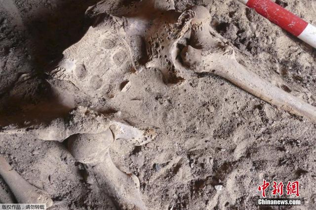 埃及出土4200年前女性骨骸 为世界最古老乳腺癌证据