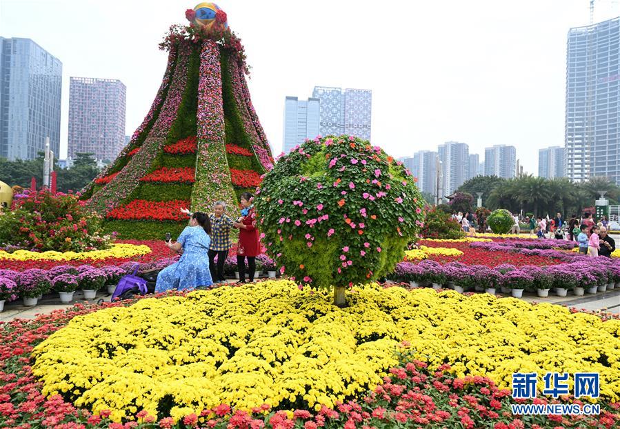 廣西柳州：深秋花卉展迎客來