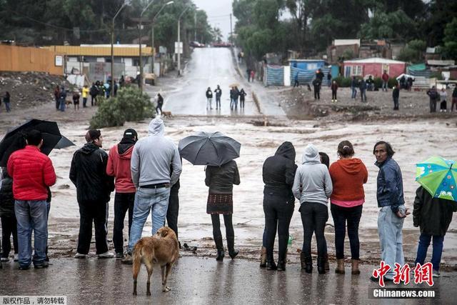 智利强降雨引发洪灾 街道沦为滚滚泥河