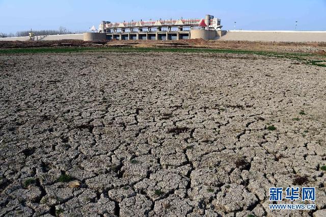 山东旱情持续 274座水库干涸157条河道断流