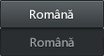 罗马尼亚文网_fororder_罗马尼亚