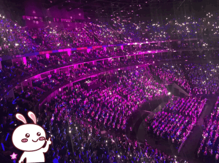 马伊琍和女儿现身朴树演唱会, 爱马撞脸关晓彤(图)