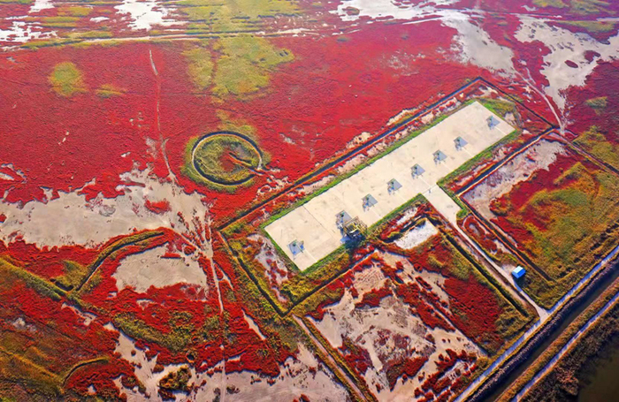 图片默认标题_fororder_1-天津北大港国际重要湿地