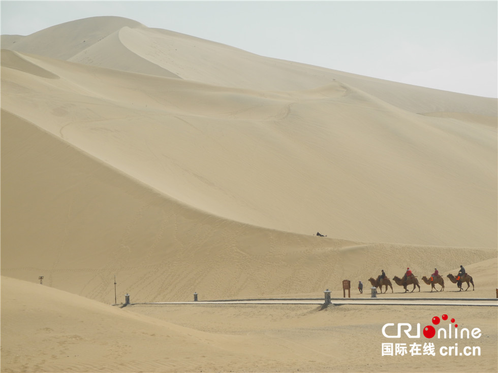 图片默认标题_fororder_DSCN7228