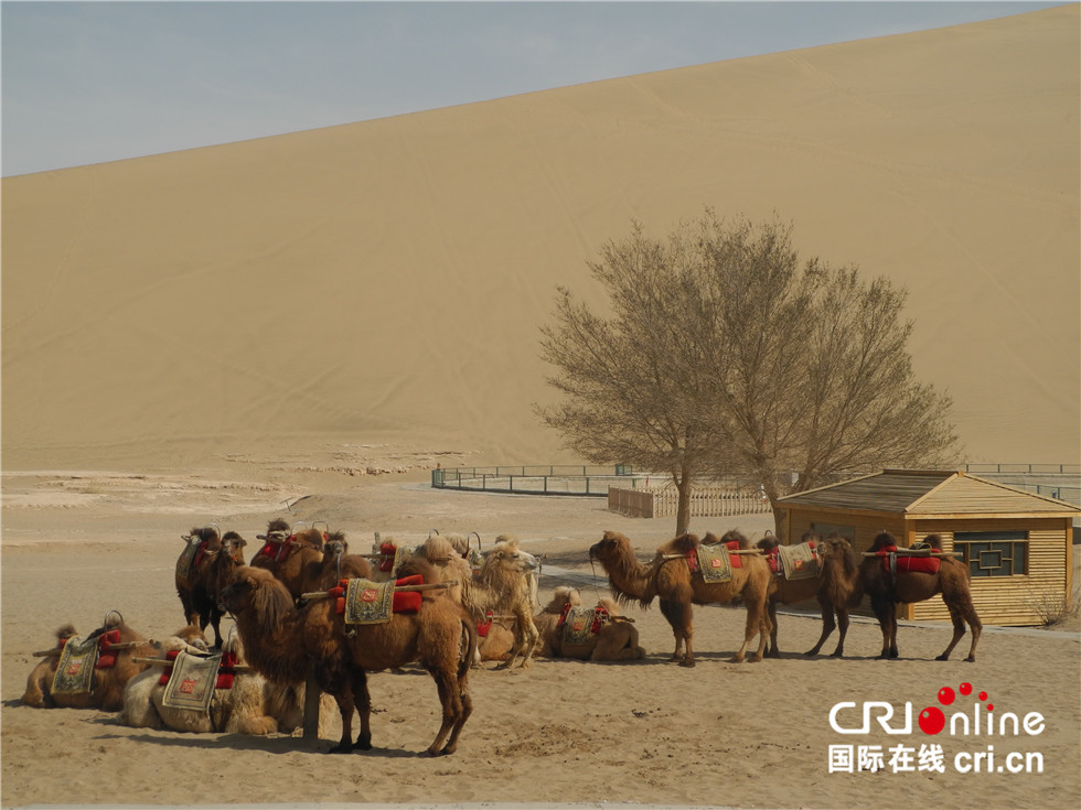 图片默认标题_fororder_DSCN7245