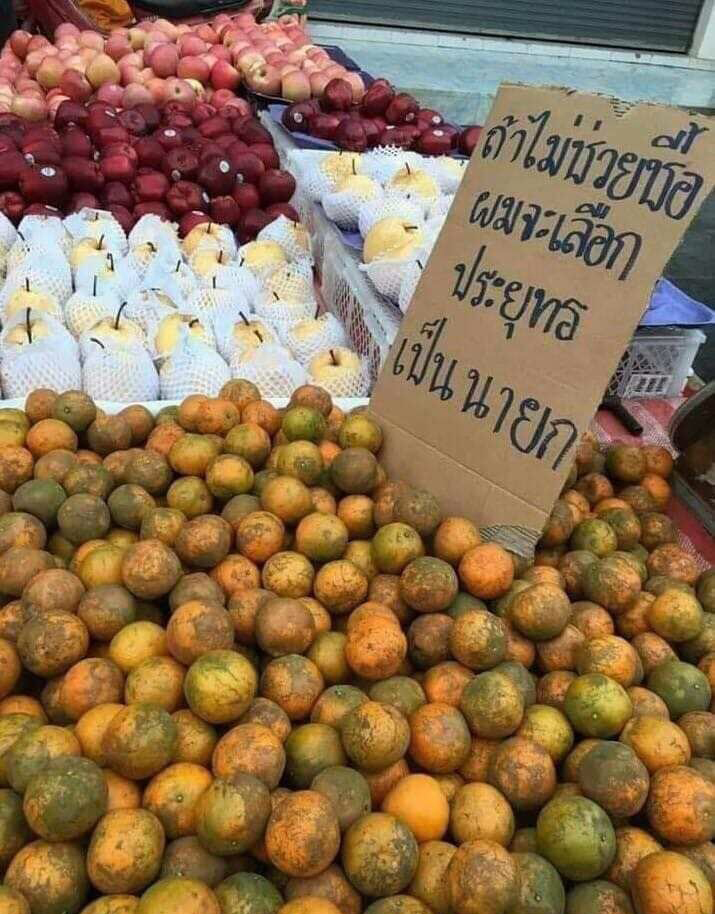 泰國一個水果攤挂出標語：如果不幫忙買水果，我就選巴育當總理_fororder_d0a732bfgy1g1dr0c6r29j20jv0qiq7v