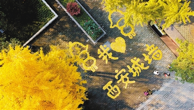 西安：巧摆落叶秀出爱