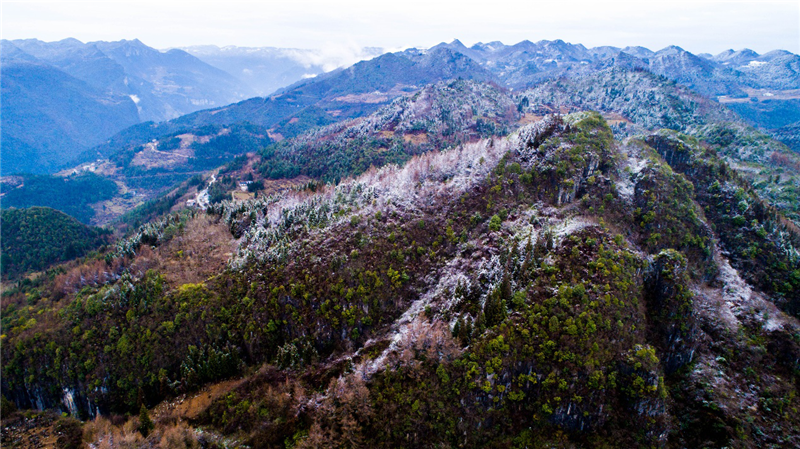 【湖北】【CRI原创】恩施大峡谷：春雪压花枝 花枝更俏醉游人