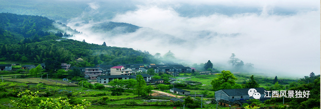 朱虹、龙溪虎：红色永新