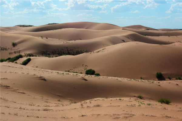   治沙前的毛乌素沙漠 供图 榆林市委宣传部