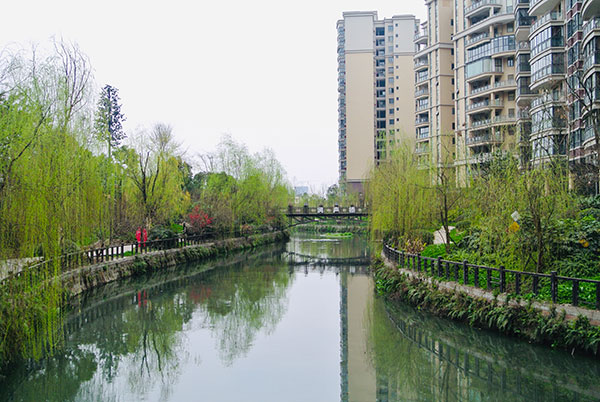 (成都新都区花园社区 供图)在杨华平的童年时期,毗河和九道堰是大自然