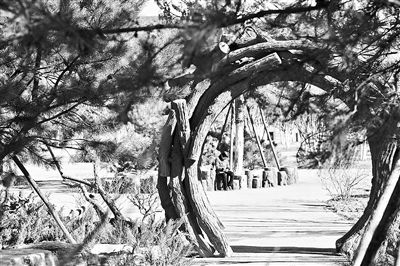 北京今年启动建设283公里城市绿道