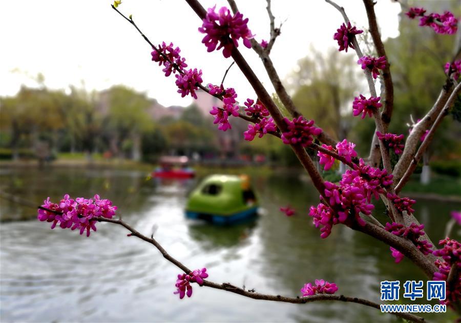 上海：千花百卉争明媚