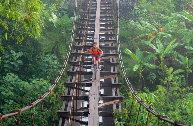 危险的求学路：印尼儿童30米高木吊桥上骑车上学
