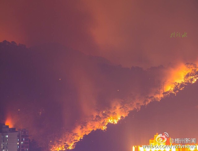 广西梧州突发山火 紧急转移190人