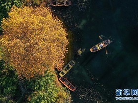 Pemandangan Alam Danau Adong Pada Musim Gugur