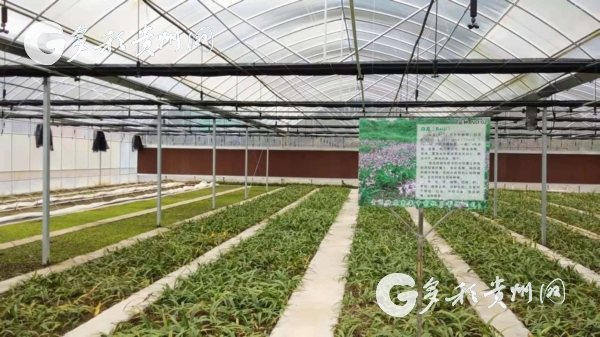 （市州）全国理论界专家学者齐聚黔南  研讨新时代贵州精神