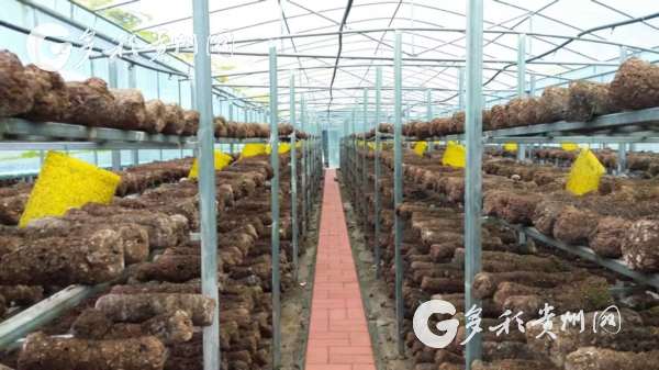 （市州）全国理论界专家学者齐聚黔南  研讨新时代贵州精神