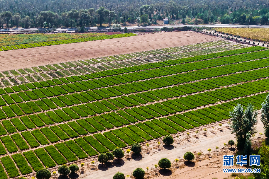 【“飞阅”中国】穿越桑干河 瞰深秋林场