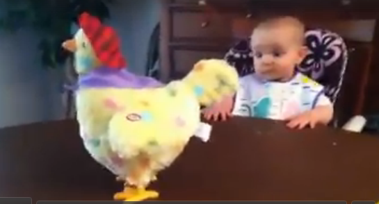 女嬰目睹玩具母雞下蛋 又驚又喜惹人愛 女嬰目睹玩具母雞下蛋 又驚又喜惹人愛