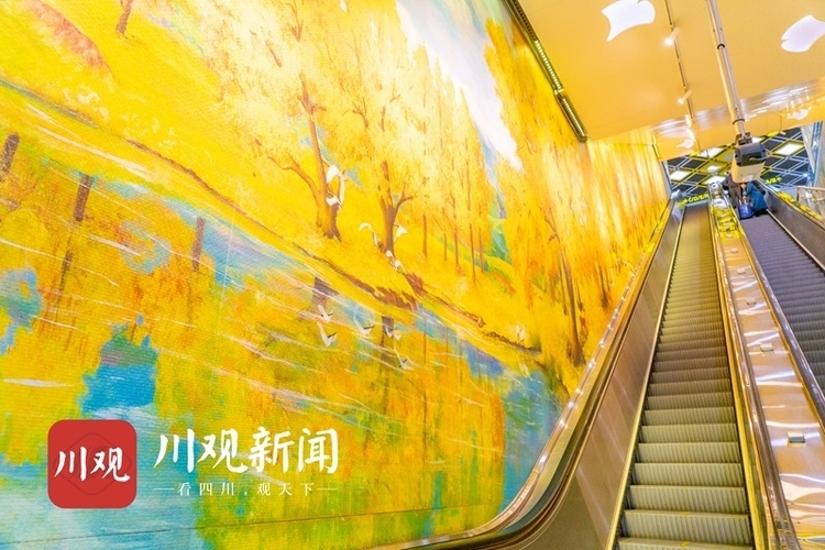 “黃葉”紛飛 在地鐵站邂逅絕美“銀杏林”