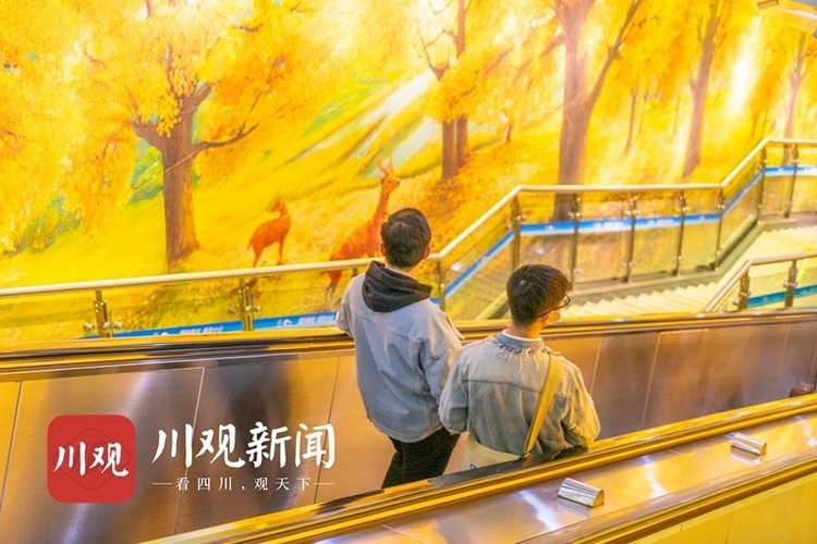 “黃葉”紛飛 在地鐵站邂逅絕美“銀杏林”