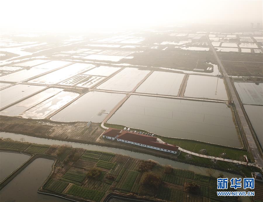 太湖“退蟹还湖”环保升级