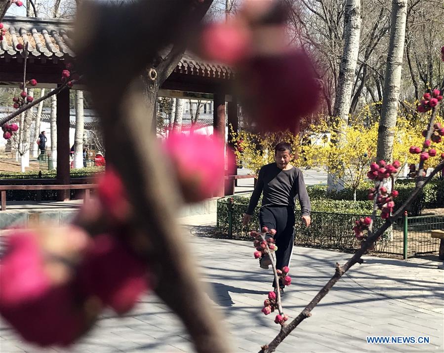 Spring scenery of Xinglong Park in Beijing