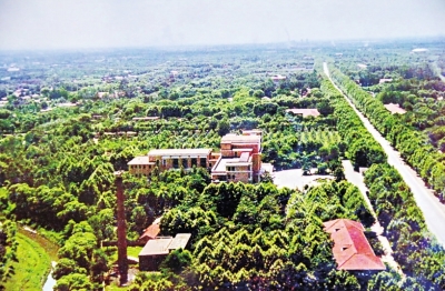 【豫见国际列表】“风沙之城”变“绿城” 郑州法桐数量已超140万棵