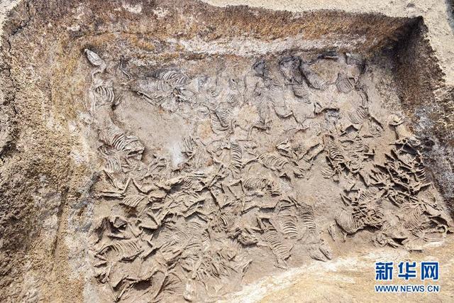 2014年度全國十大考古新發現揭曉 2014年度全國十大考古新發現揭曉