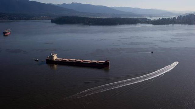 溫哥華海灣燃油泄漏 污染海域一片漆黑
