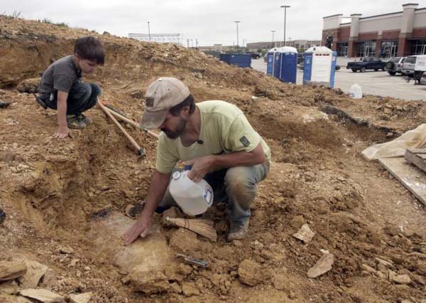 美国4岁男童建筑工地上发现恐龙化石