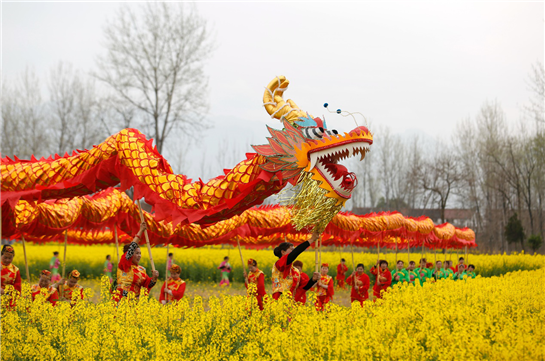 陕西汉中现“龙”行花海景象