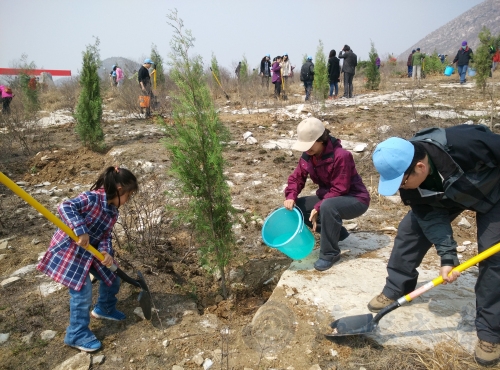 【北京】“台胞林”初长成 在京台胞植树1500棵